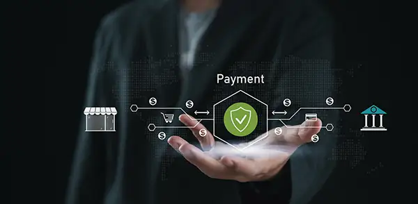 Web Pay - Payment Gateway Integrations & Custom Development